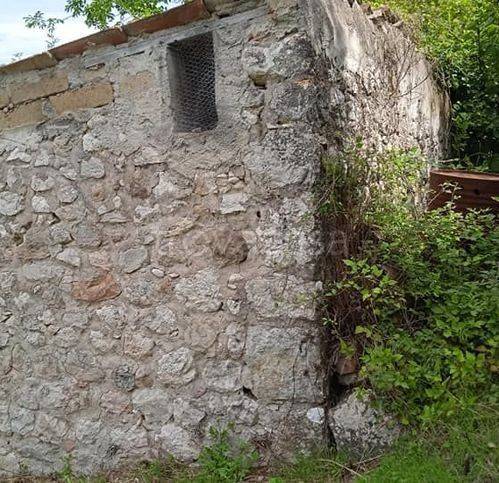 terreno agricolo in vendita a Solopaca