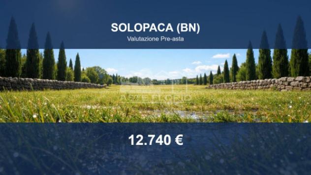terreno agricolo in vendita a Solopaca