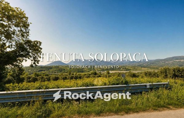 terreno agricolo in vendita a Solopaca in zona Solopaca Scalo