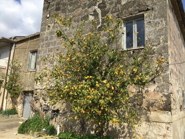 appartamento in vendita a Telese Terme