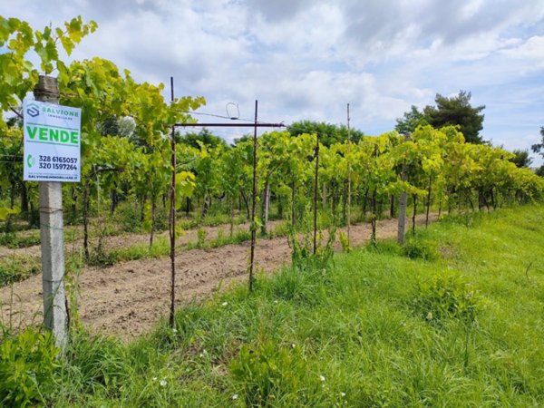 terreno agricolo in vendita a Telese Terme
