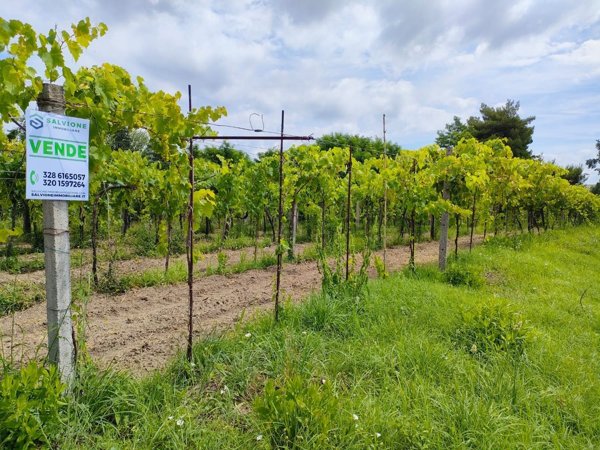 negozio in vendita a Telese Terme