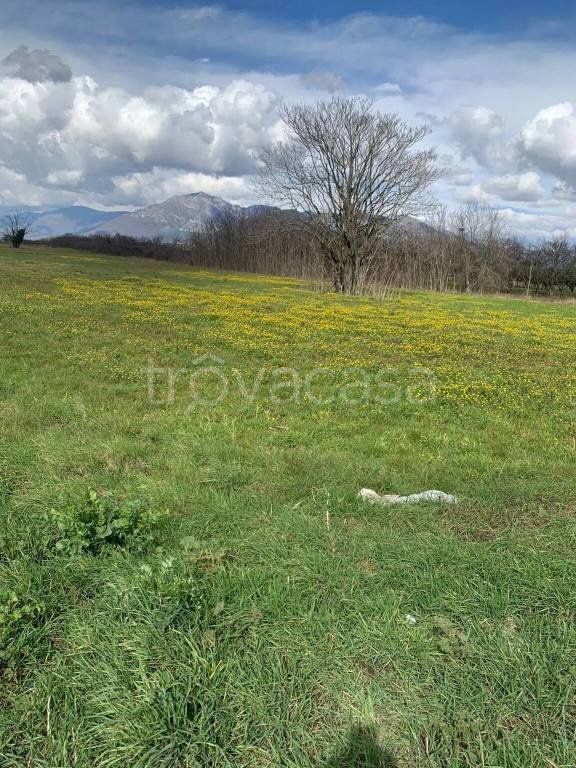 terreno agricolo in vendita a Telese Terme