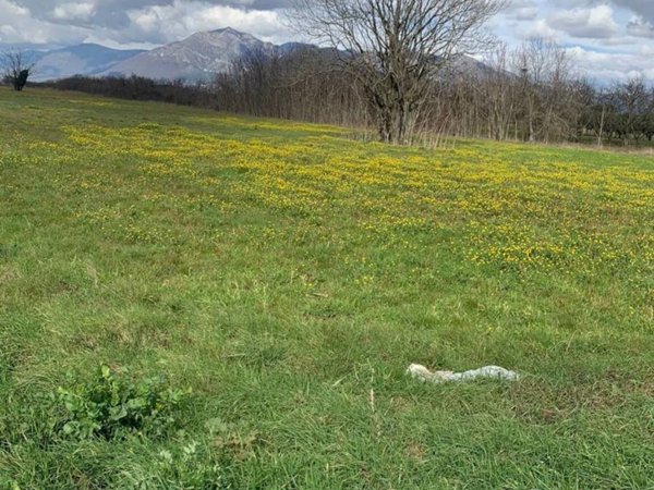 terreno agricolo in vendita a Telese Terme