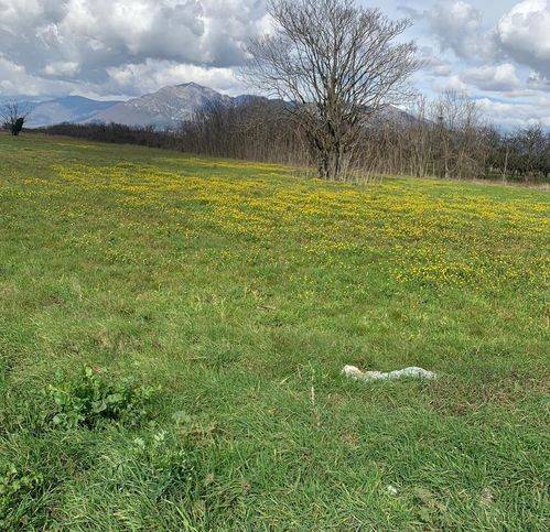 terreno agricolo in vendita a Telese Terme