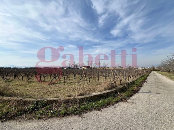 terreno agricolo in vendita a Telese Terme