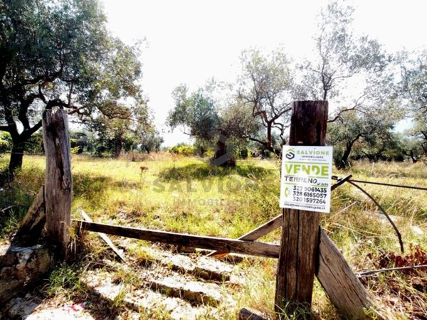 terreno agricolo in vendita a Telese Terme in zona Piana
