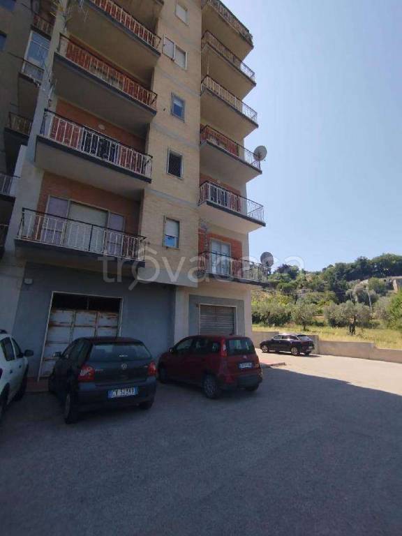 immagine annuncio 0 di 9