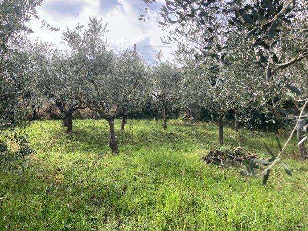 appartamento in vendita a Torrecuso