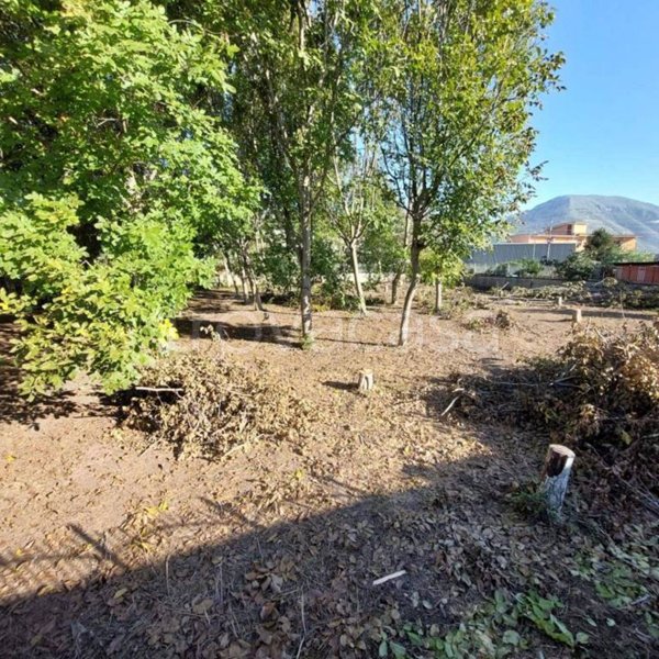 terreno agricolo in vendita ad Acerra in zona Pezzalunga