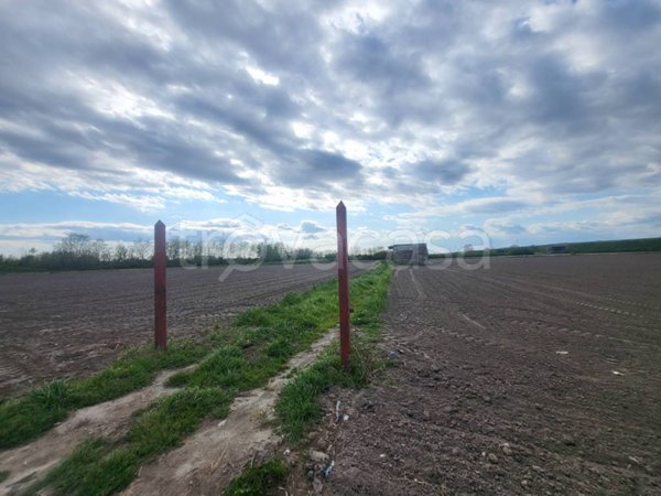 terreno agricolo in vendita ad Acerra
