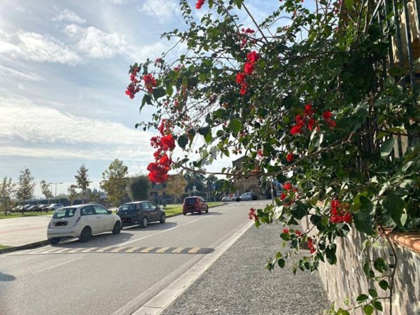 appartamento in vendita ad Acerra