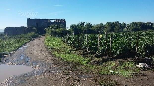 terreno agricolo in vendita ad Acerra