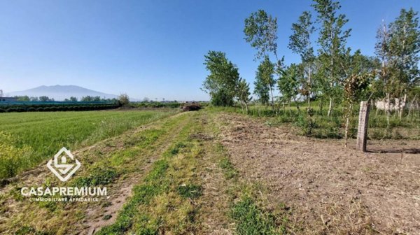 terreno agricolo in vendita ad Acerra
