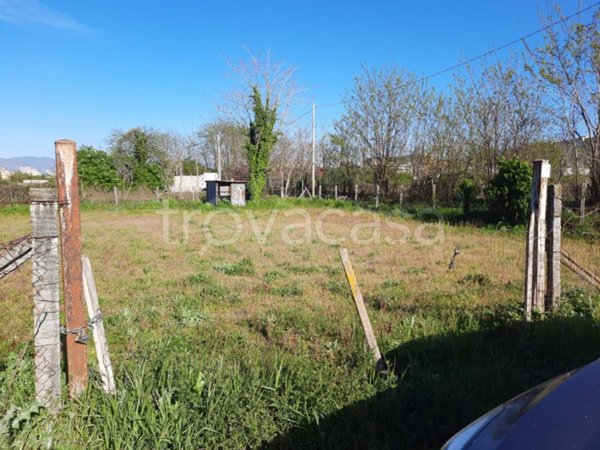 terreno agricolo in vendita ad Acerra