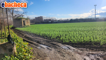 terreno agricolo in vendita ad Acerra