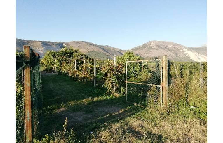 terreno agricolo in vendita ad Acerra in zona Pezzalunga