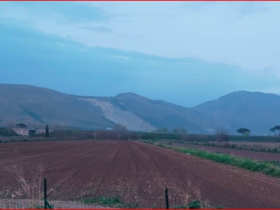 negozio in vendita ad Acerra