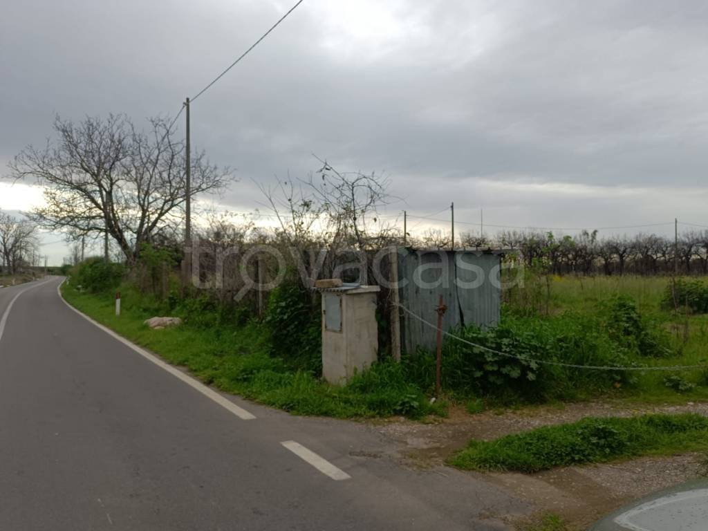 terreno agricolo in vendita ad Acerra