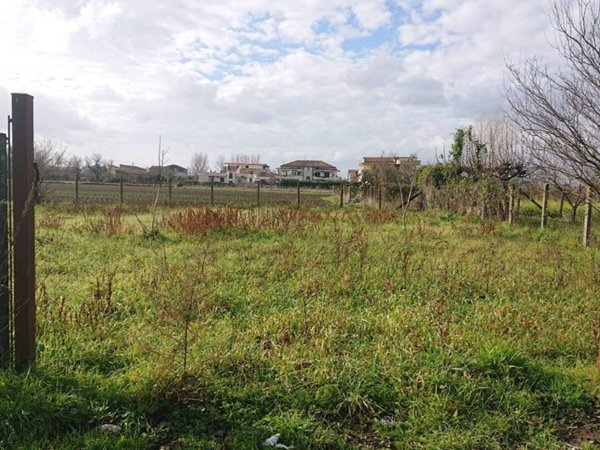 terreno agricolo in vendita ad Acerra