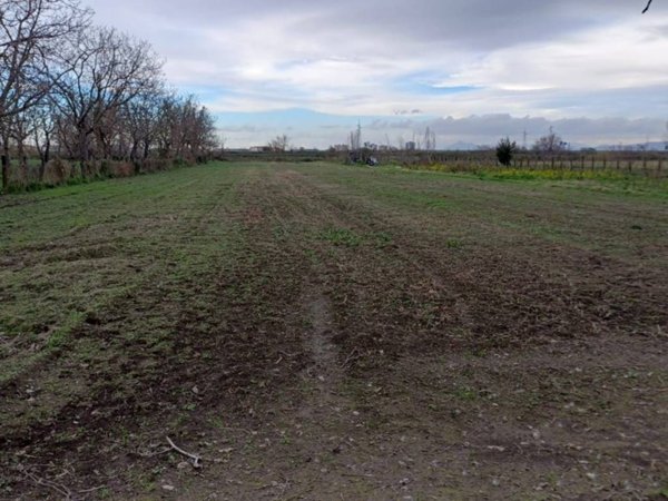 terreno agricolo in vendita ad Acerra