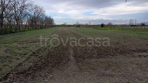 terreno agricolo in vendita ad Acerra