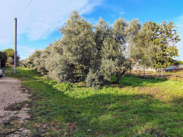 terreno agricolo in vendita ad Acerra