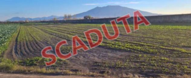 terreno agricolo in vendita ad Acerra