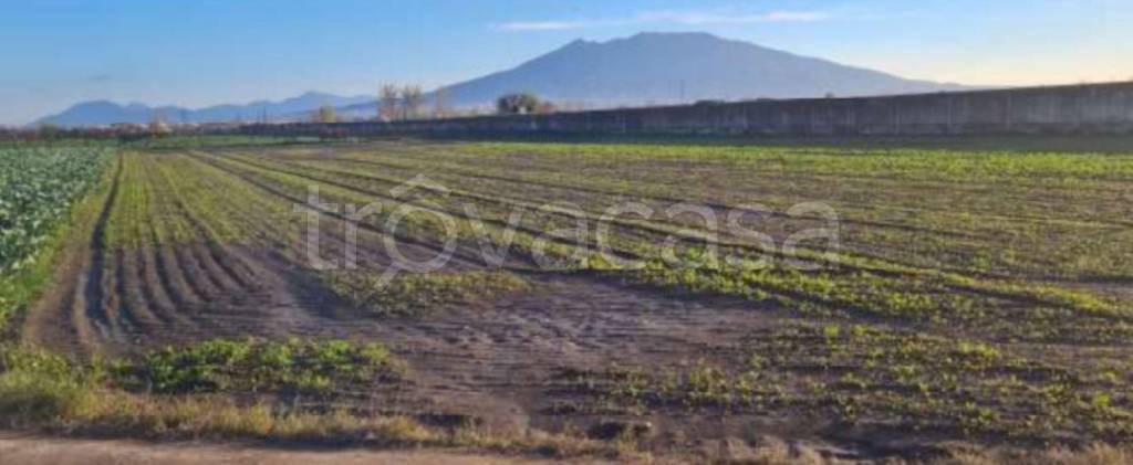 terreno agricolo in vendita ad Acerra