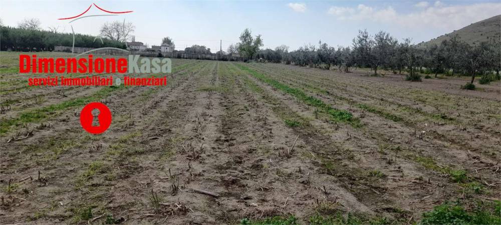 terreno agricolo in vendita ad Acerra in zona Pezzalunga