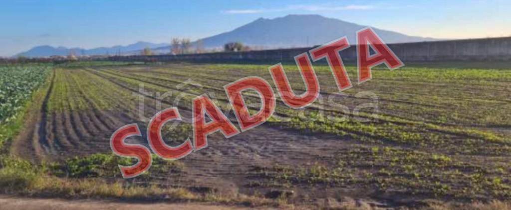 terreno agricolo in vendita ad Acerra