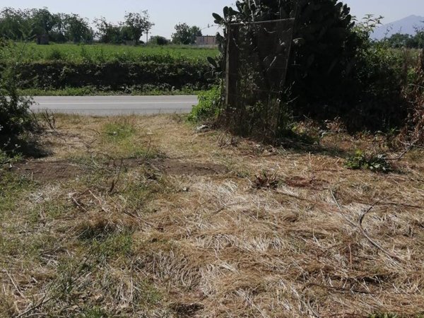 terreno agricolo in vendita ad Acerra