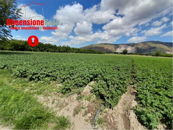 terreno agricolo in vendita ad Acerra in zona Pezzalunga