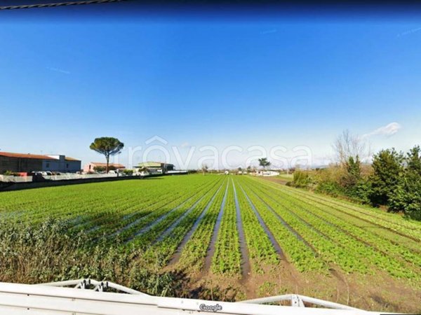 terreno agricolo in vendita ad Acerra