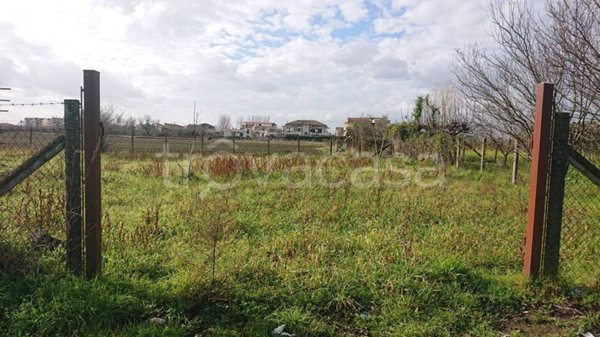 terreno agricolo in vendita ad Acerra