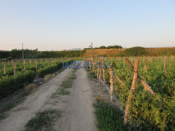 terreno agricolo in vendita ad Acerra