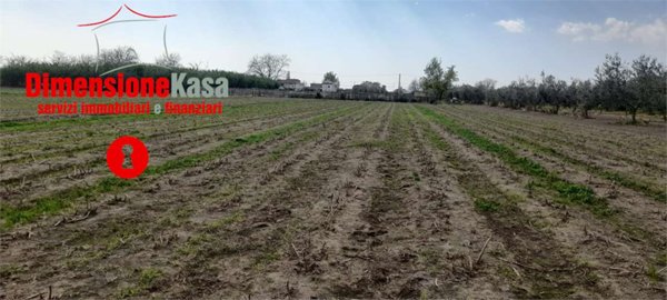 terreno agricolo in vendita ad Acerra in zona Pezzalunga