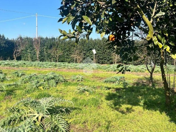 terreno agricolo in vendita ad Acerra