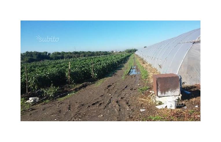 terreno agricolo in vendita ad Acerra in zona Gaudello