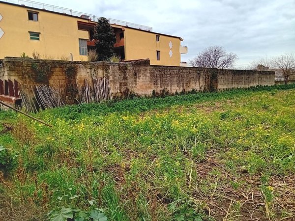 esavano in vendita ad Acerra in zona Pezzalunga