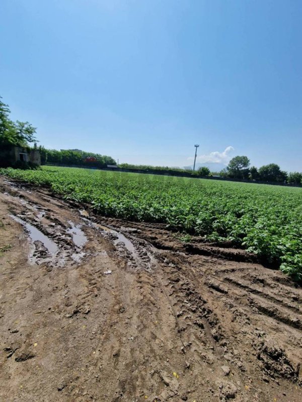 terreno agricolo in vendita ad Acerra