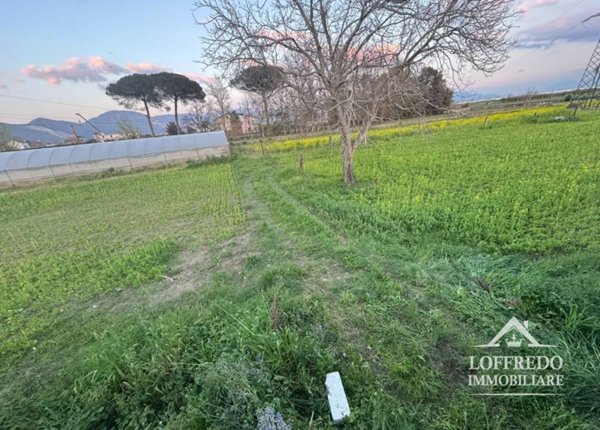 terreno agricolo in vendita ad Acerra in zona Gaudello