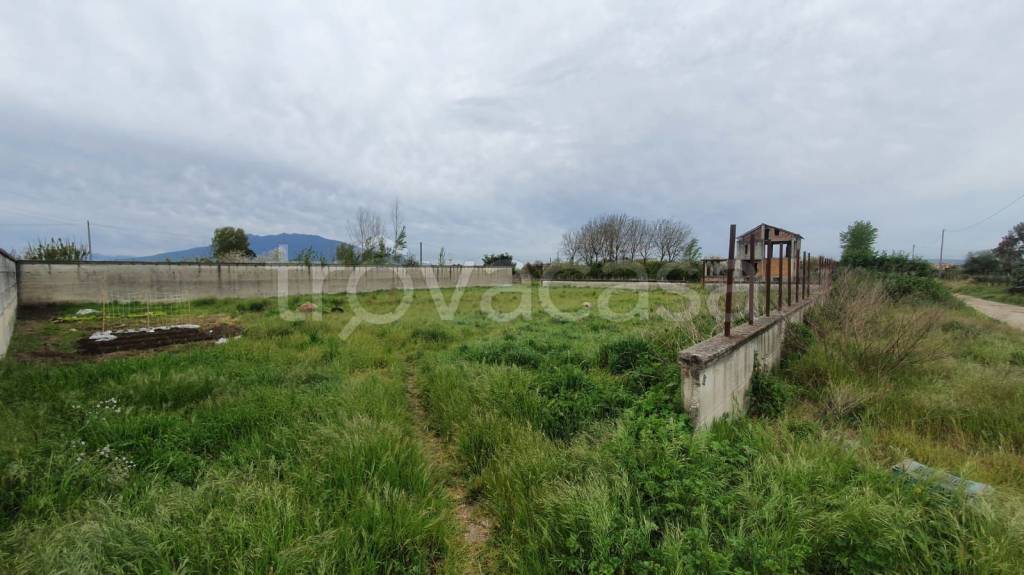 terreno agricolo in vendita ad Acerra