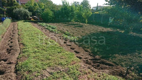terreno agricolo in vendita ad Acerra
