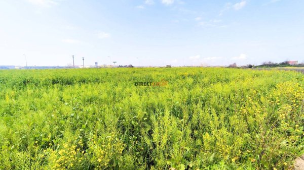 terreno agricolo in vendita ad Acerra