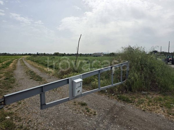 immagine annuncio 0 di 5