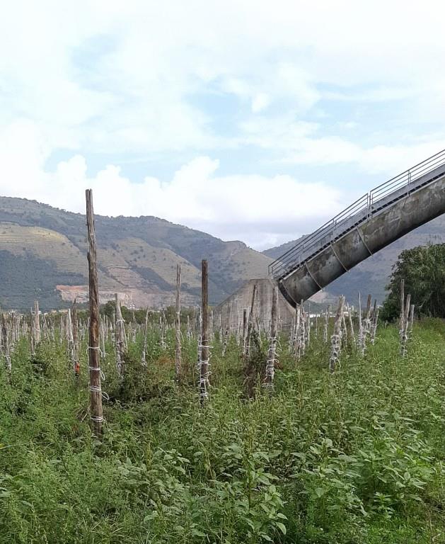 terreno agricolo in vendita ad Acerra in zona Pezzalunga
