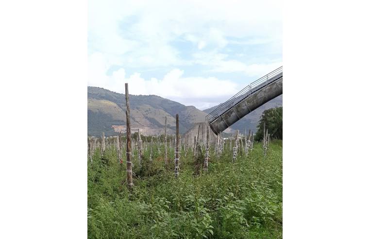 terreno agricolo in vendita ad Acerra in zona Pezzalunga