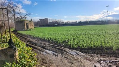 terreno agricolo in vendita ad Acerra