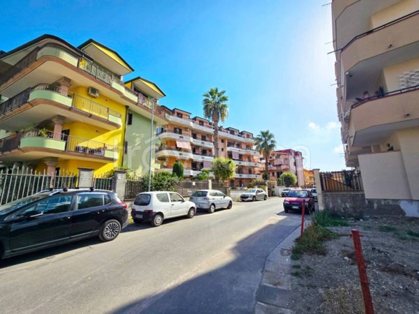 immagine annuncio 0 di 15
